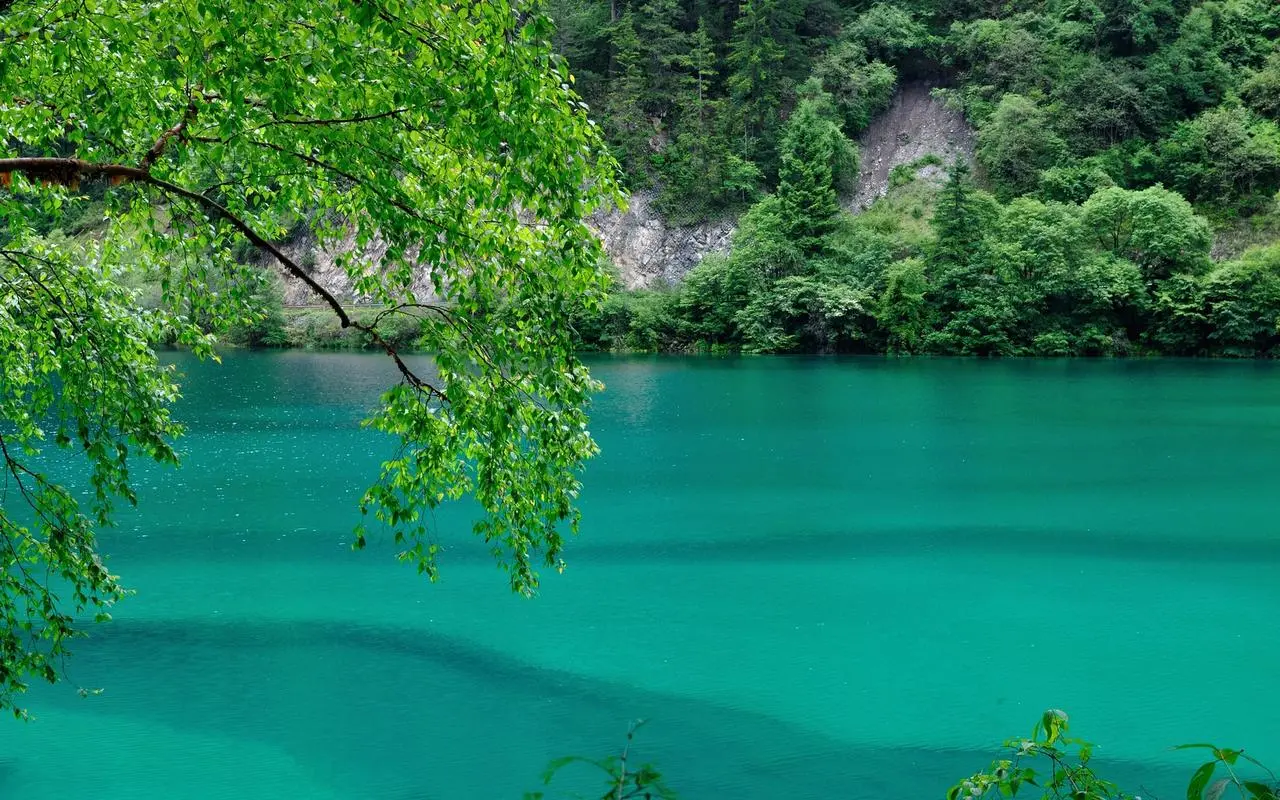 高端可靠性高性能